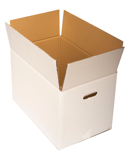 Carton standard
